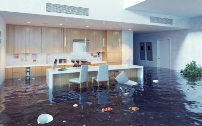 Why Do I Need Separate Flood/Earthquake Insurance?