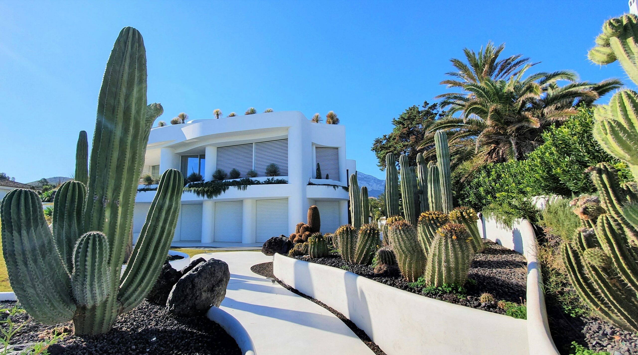 Southern California Home with Cactus in front yard